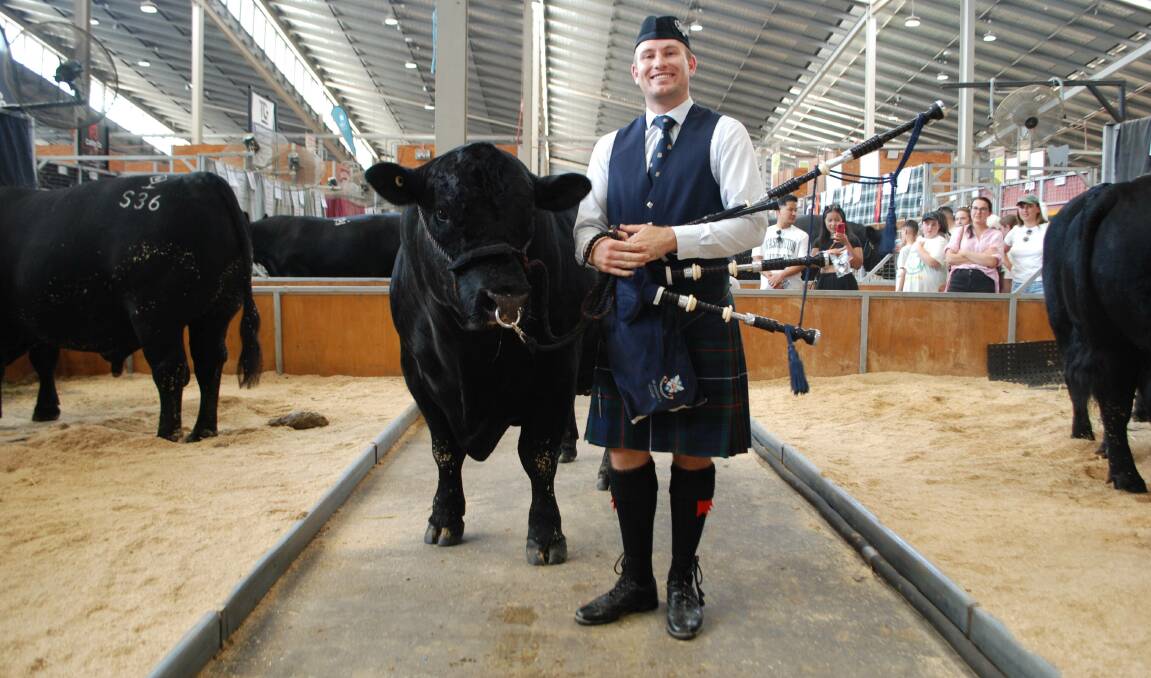 Rob Hayward, Quirindi, was awarded the RAS of NSW Youth Medal and also played the bagpipes to welcome the Angus grand champions into the ring at Sydney Royal. Picture by Rebecca Nadge