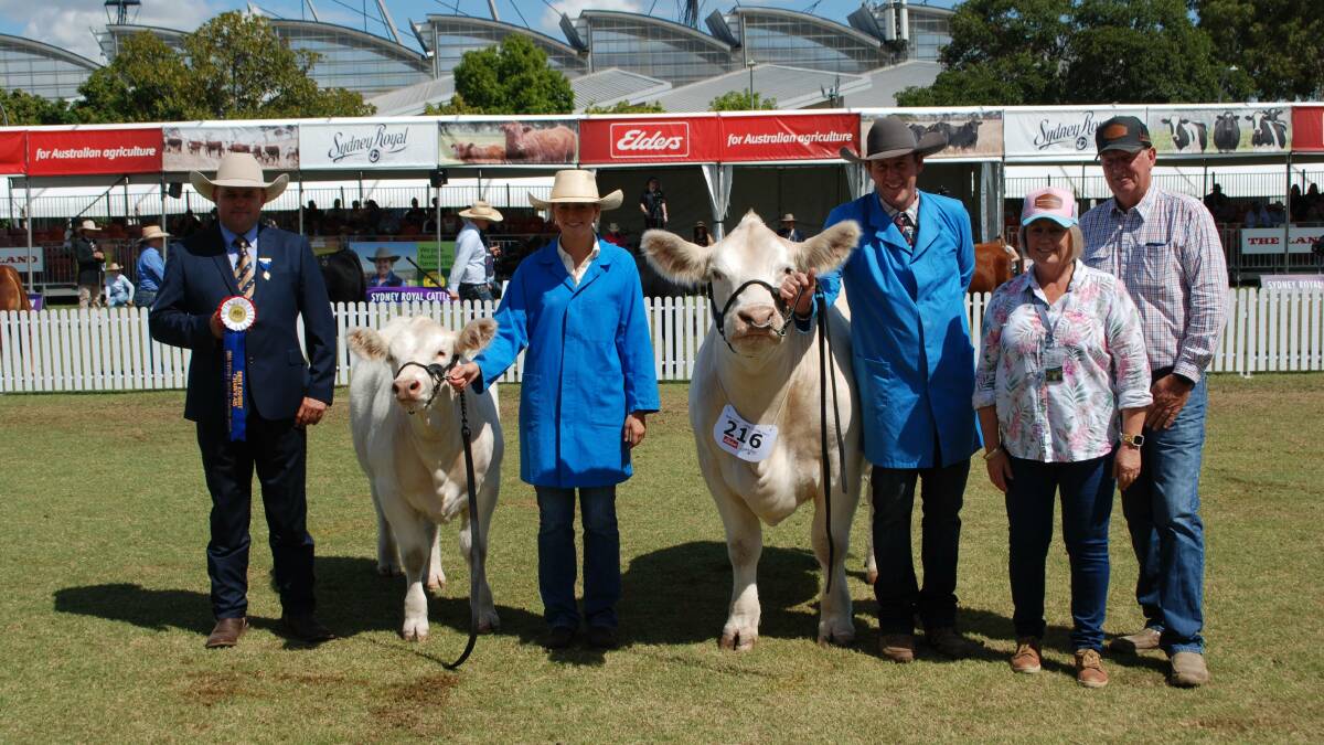 Judge Matt Spry, Spry's Shorthorn and Angus, Holbrook, handler Amy Bolton, Shepparton, Vic, and Harris, Anne and Andrew Thompson, Venturon Livestock, Boyup Brook, WA, with the best exhibit. 